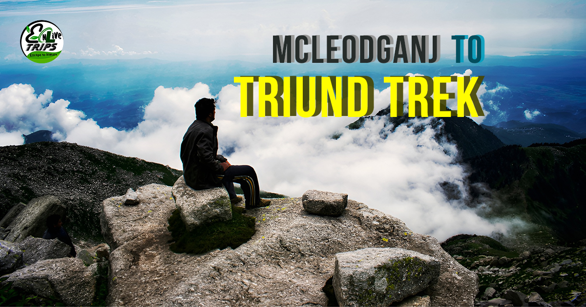 Best Time to Trek Triund & visit McLeodganj